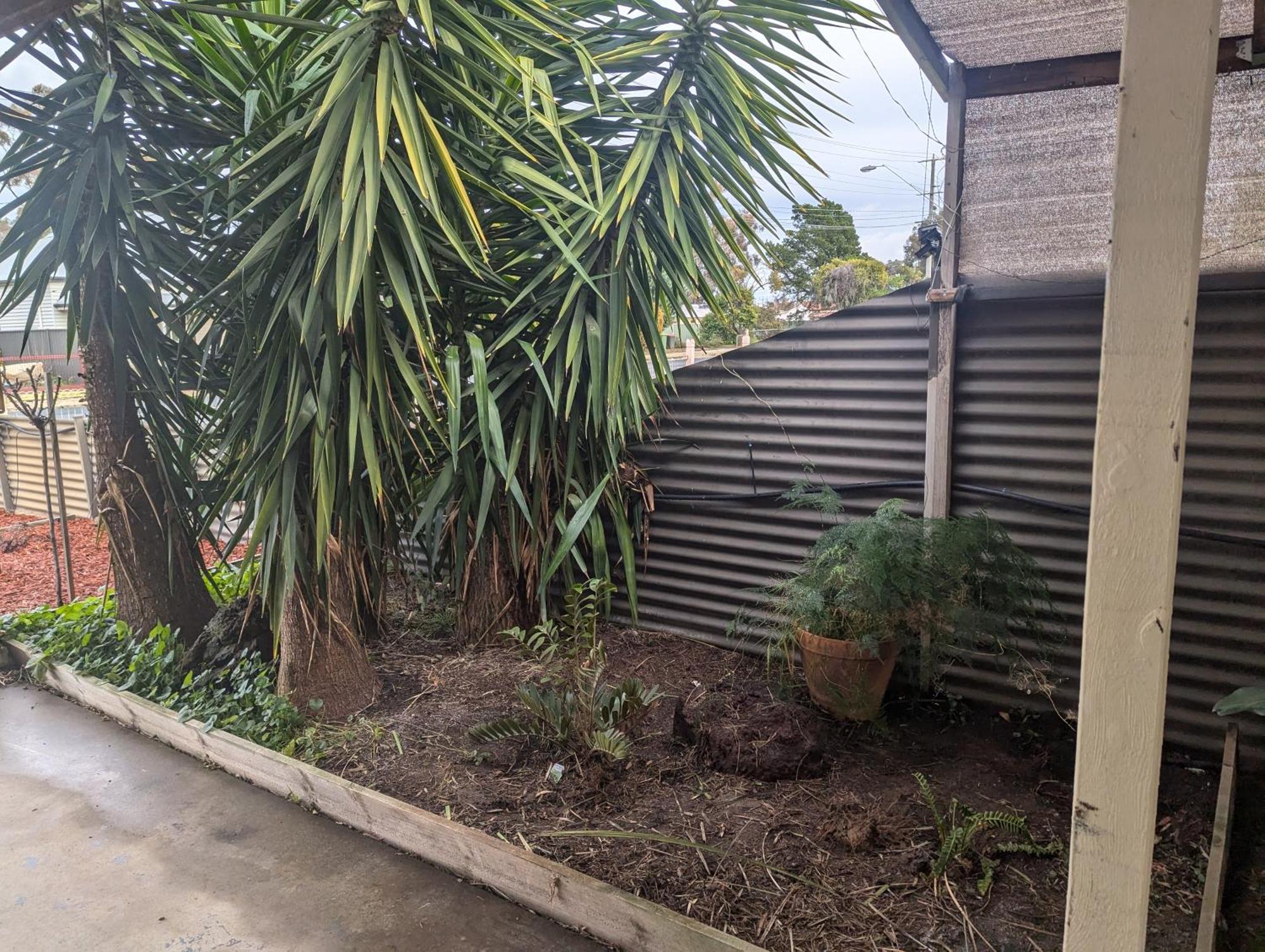 Kyabram Country Motel מראה חיצוני תמונה
